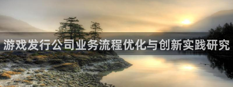 亿万28子经理人：游戏发行公司业务流程优化与创新实践研究
