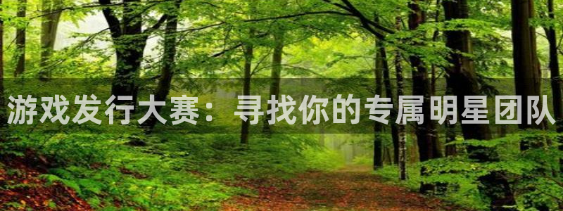 亿万28子出版社董事长：游戏发行大赛：寻找你的专属明星团队