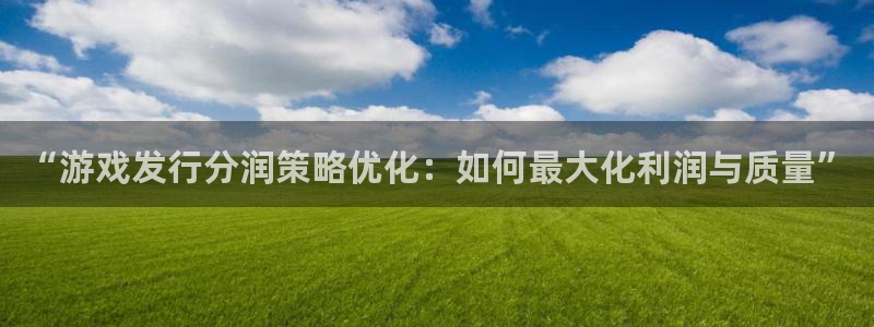 广东亿万28营销策划有限公司：“游戏发行分润策略优化：如何最大化利润与质量”