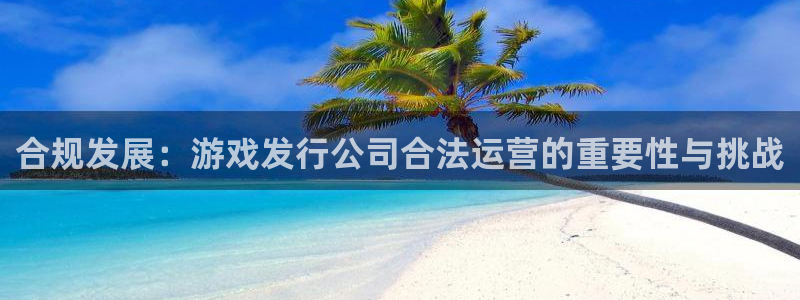 亿万28实业投资(东莞)有限公司：合规发展：游戏发行公司合法运营的重要性与挑战