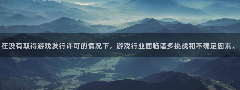广州亿万28投资管理顾问有限公司：在没有取得游戏发行许可的情况下，游戏行业面临诸多挑战和不确定因素。