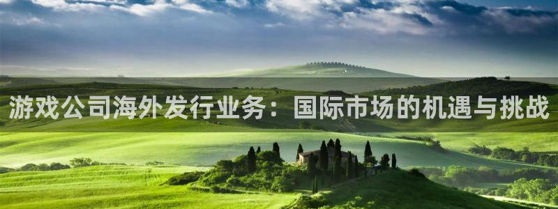 亿万28子传媒集团ceo：游戏公司海外发行业务：国际市场的机遇与挑战