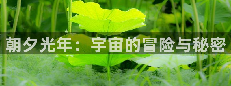 亿万28服装品牌怎么样