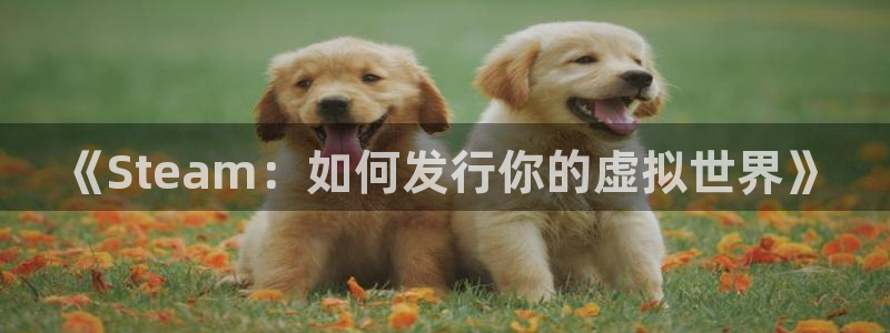 亿万28好还是红狮好：《Steam：如何发行你的虚拟世界》