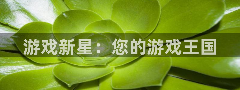 亿万28子财经图书：游戏新星：您的游戏王国