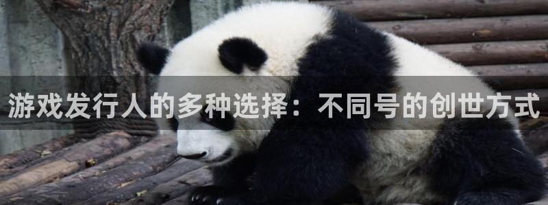 广州亿万28电子商务：游戏发行人的多种选择：不同号的创世方式