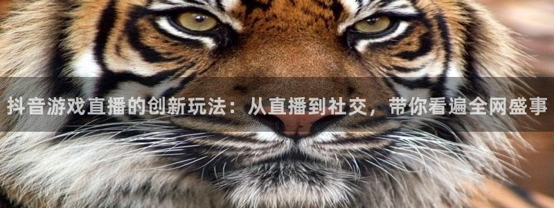 亿万28官网解绑银行卡怎么解绑：抖音游戏直播的创新玩法：从直播到社交，带你看遍全网盛事