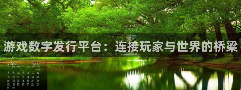 亿万28电子科技怎么样：游戏数字发行平台：连接玩家与世界的桥梁