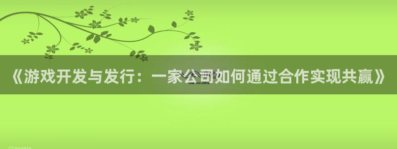 亿万28官网登录注册账号是什么样的：《游戏开发与发行：一家公司如何通过合作实现共赢》