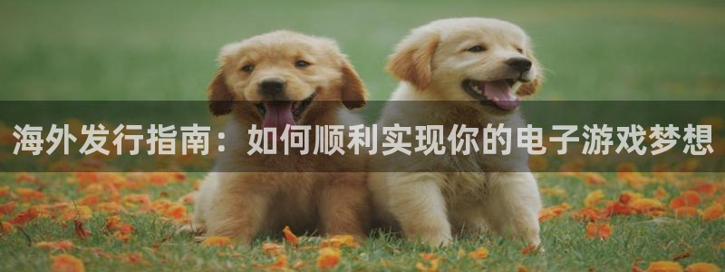 亿万28官网注册方法有哪些：海外发行指南：如何顺利实现你的电子游戏梦想