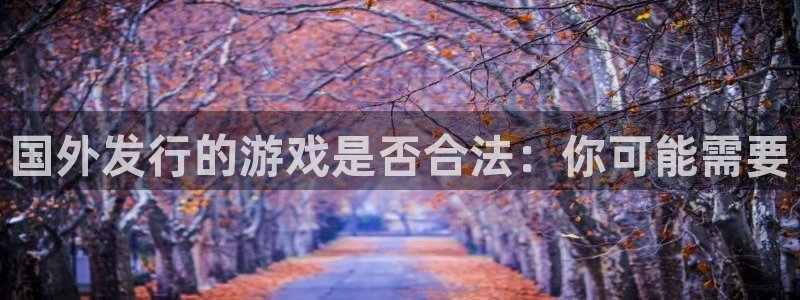 亿万28子文化有什么游戏：国外发行的游戏是否合法：你可能需要