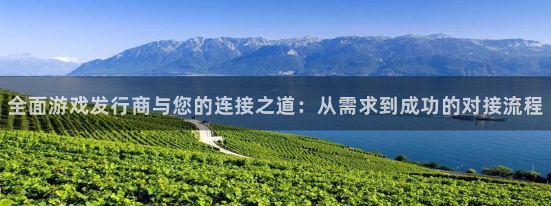 广东亿万28营销策划有限公司：全面游戏发行商与您的连接之道：从需求到成功的对接流程