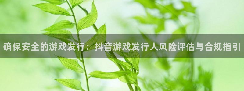 亿万28技术有限公司官网：确保安全的游戏发行：抖音游戏发行人风险评估与合规指引