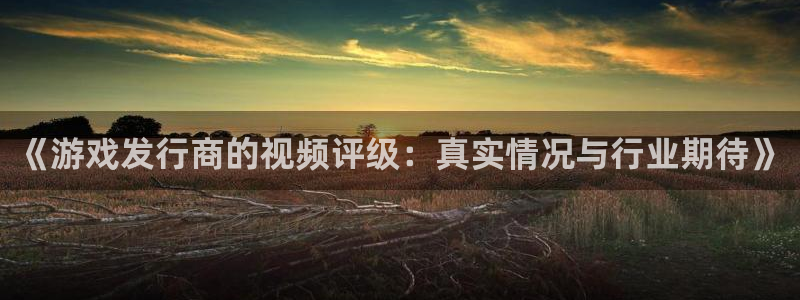 亿万28官网平台代理开号流程：《游戏发行商的视频评级：真实情况与行业期待》