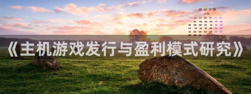 lvnces亿万28衣服价格：《主机游戏发行与盈利模式研究》