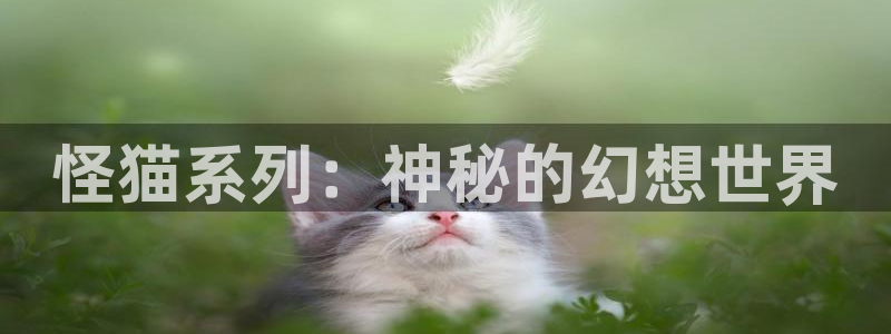 亿万28电子商务有限公司招聘