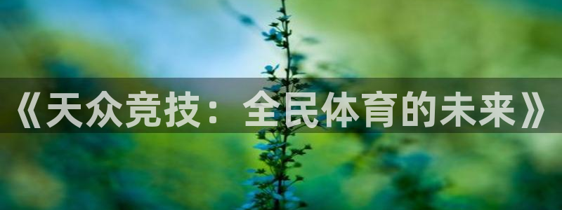 vsport体育在线官网