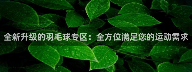 vsport体育在线官网：全新升级的羽毛球专区：全方位满足您的运动需求