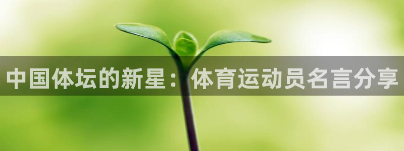 vsport体育：中国体坛的新星：体育运动员名言分享
