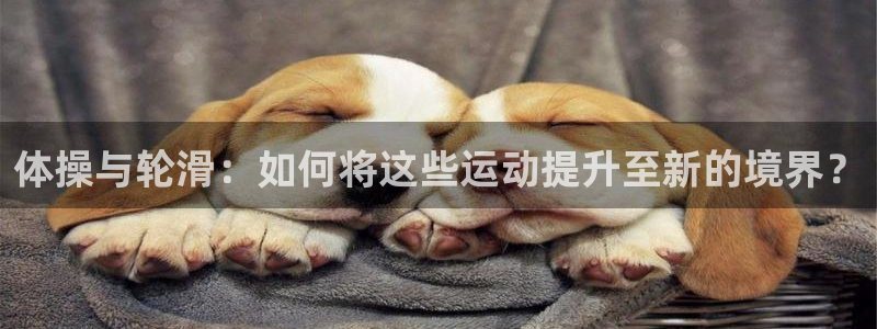 vsport体育：体操与轮滑：如何将这些运动提升至新的境界？