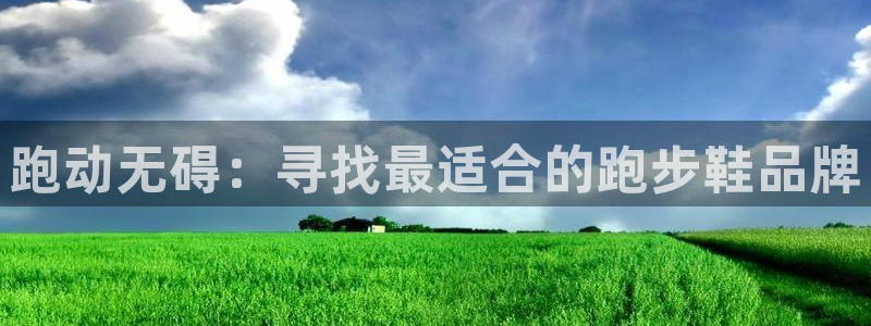 vsport体育在线官网：跑动无碍：寻找最适合的跑步鞋品牌