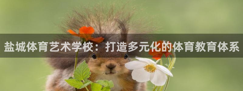 vsport体育在线官网：盐城体育艺术学校：打造多元化的体育教育体系