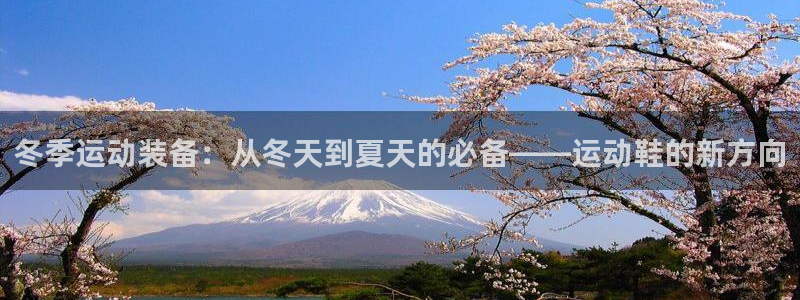vsport体育：冬季运动装备：从冬天到夏天的必备——运动鞋的新方向