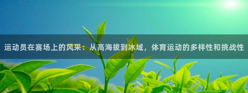 vsport体育在线官网：运动员在赛场上的风采：从高海拔到冰域，体育运动的多样性和挑战性