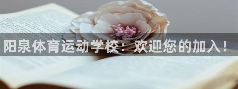 vsport体育在线官网