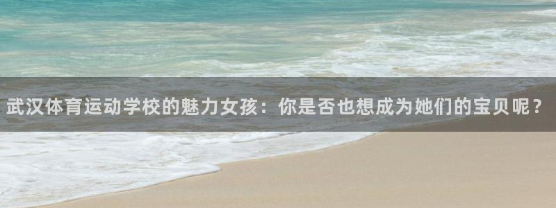 vsport体育在线官网