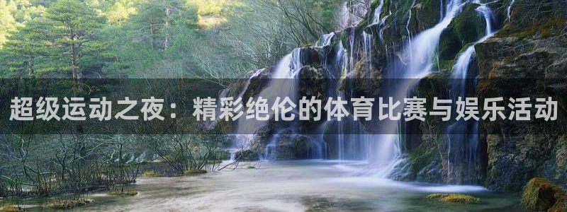 vsport体育：超级运动之夜：精彩绝伦的体育比赛与娱乐活动