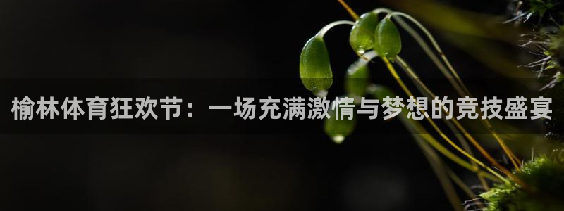 vsport体育：榆林体育狂欢节：一场充满激情与梦想的竞技盛宴