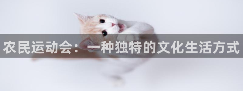 vsport体育：农民运动会：一种独特的文化生活方式