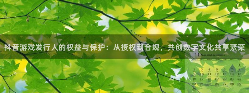 亿万28子经理人杂志：抖音游戏发行人的权益与保护：从授权到合规，共创数字文化共享繁荣